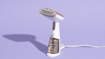 best hand held garment steamer